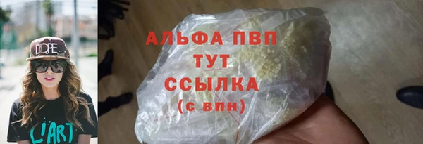 МДПВ Пересвет