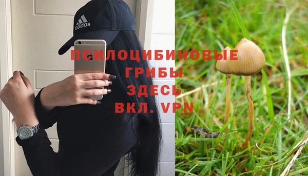 шишки Покров