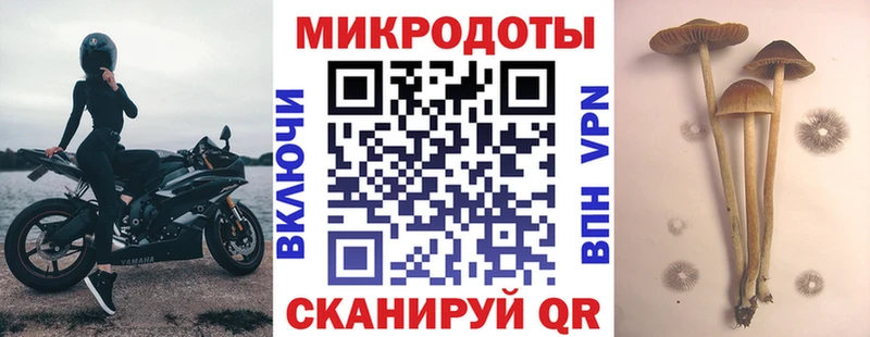 Галлюциногенные грибы MAGIC MUSHROOMS  мега tor  Тула  где найти наркотики 